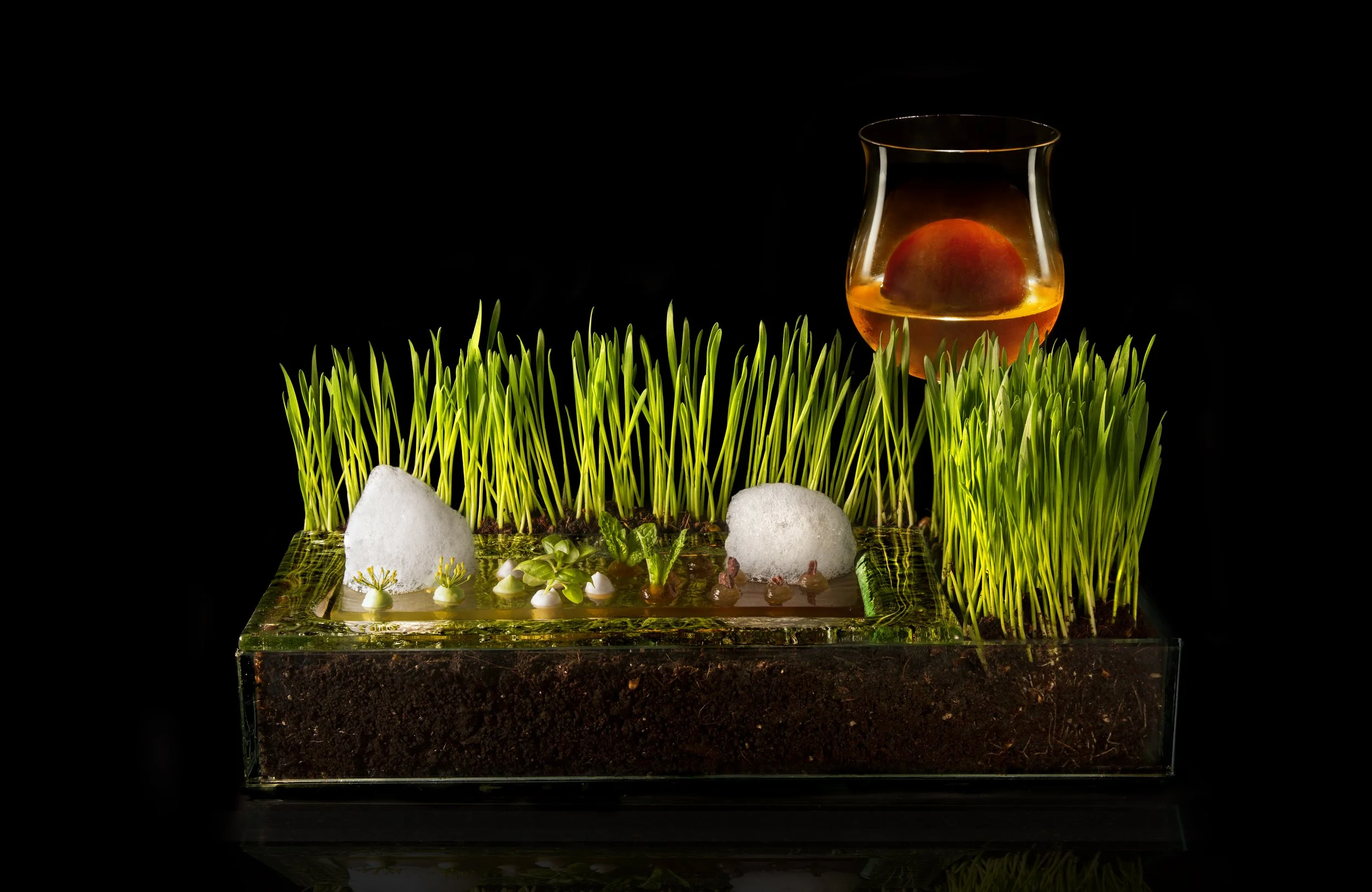 Gallery — BarChef