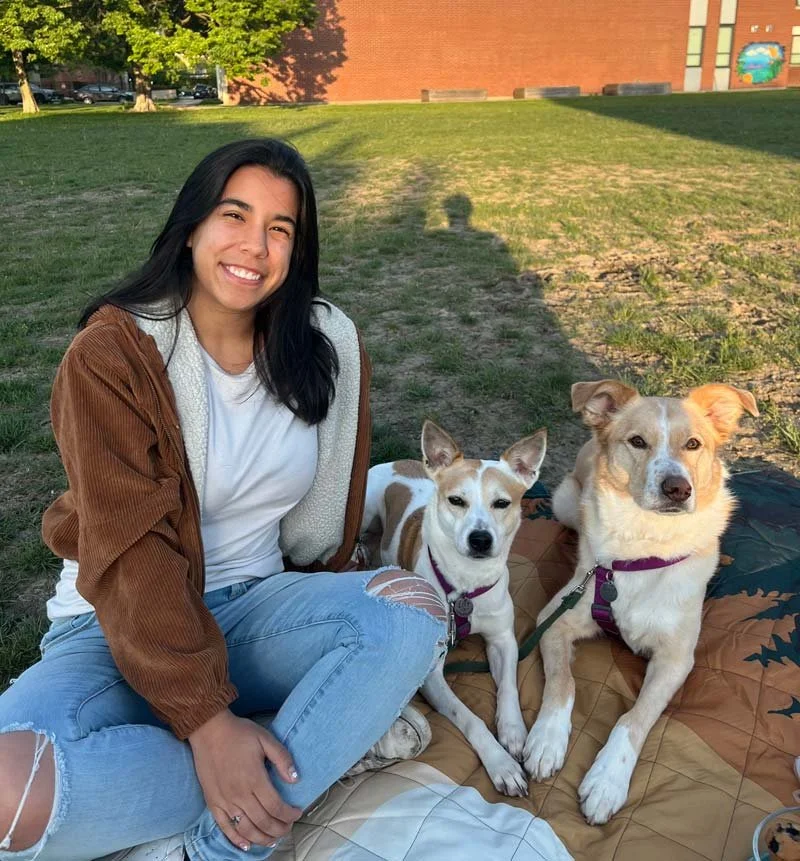 Separation anxiety trainer in Chicago