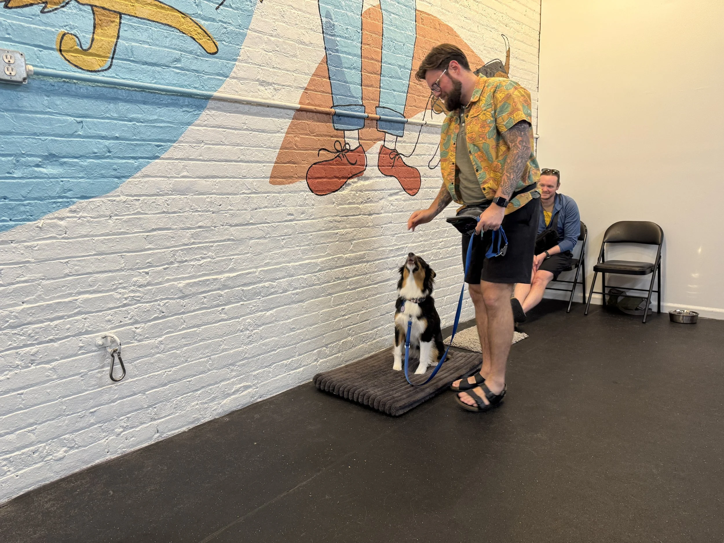 How Long It Takes to Train a Dog