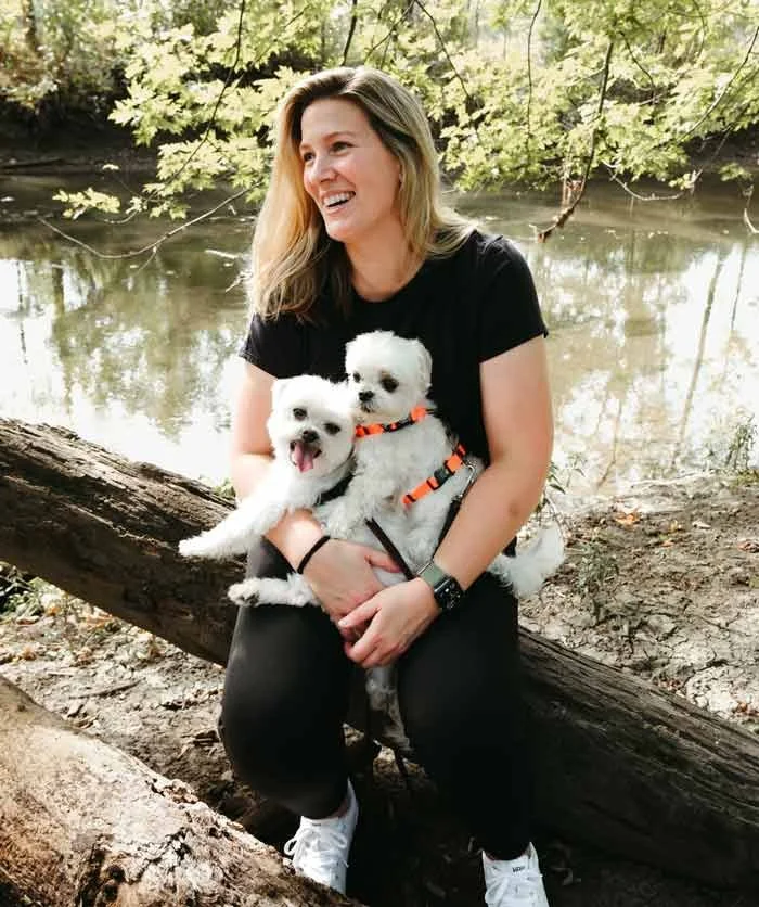 Reactivity dog trainer in chicago