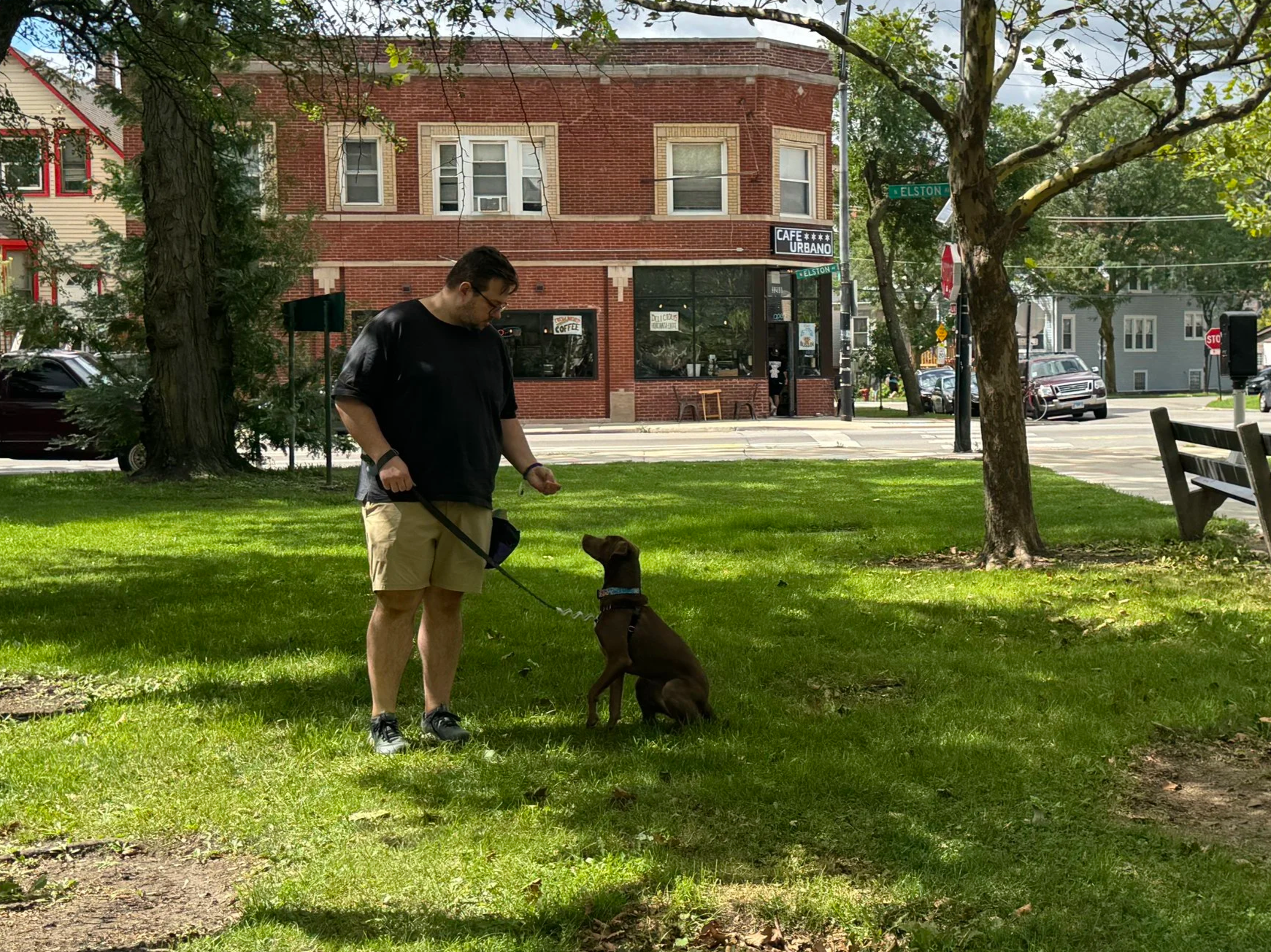 Reactive dog working on reactivity training in a public park with a trainer in Chicago.