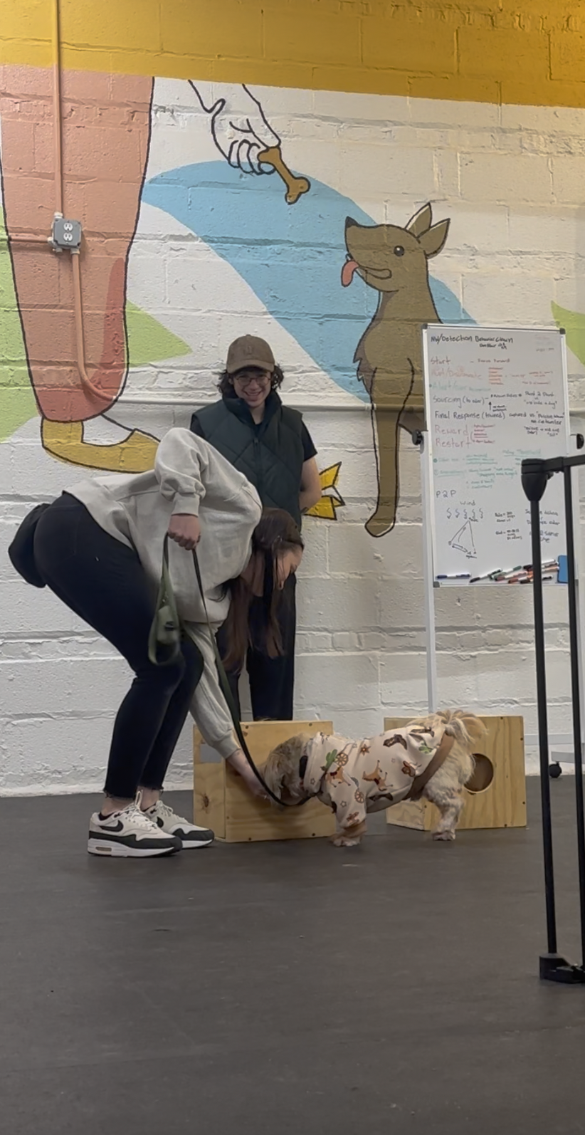 Beginner nosework class in Chicago with dogs working on scent detection games