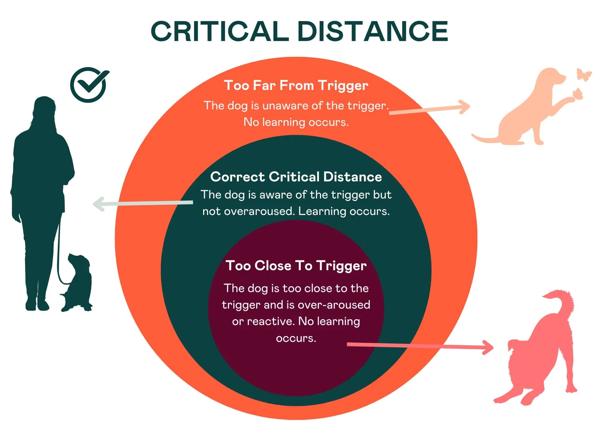 Reactivity distance chart showing ideal space for dog reactivity training.