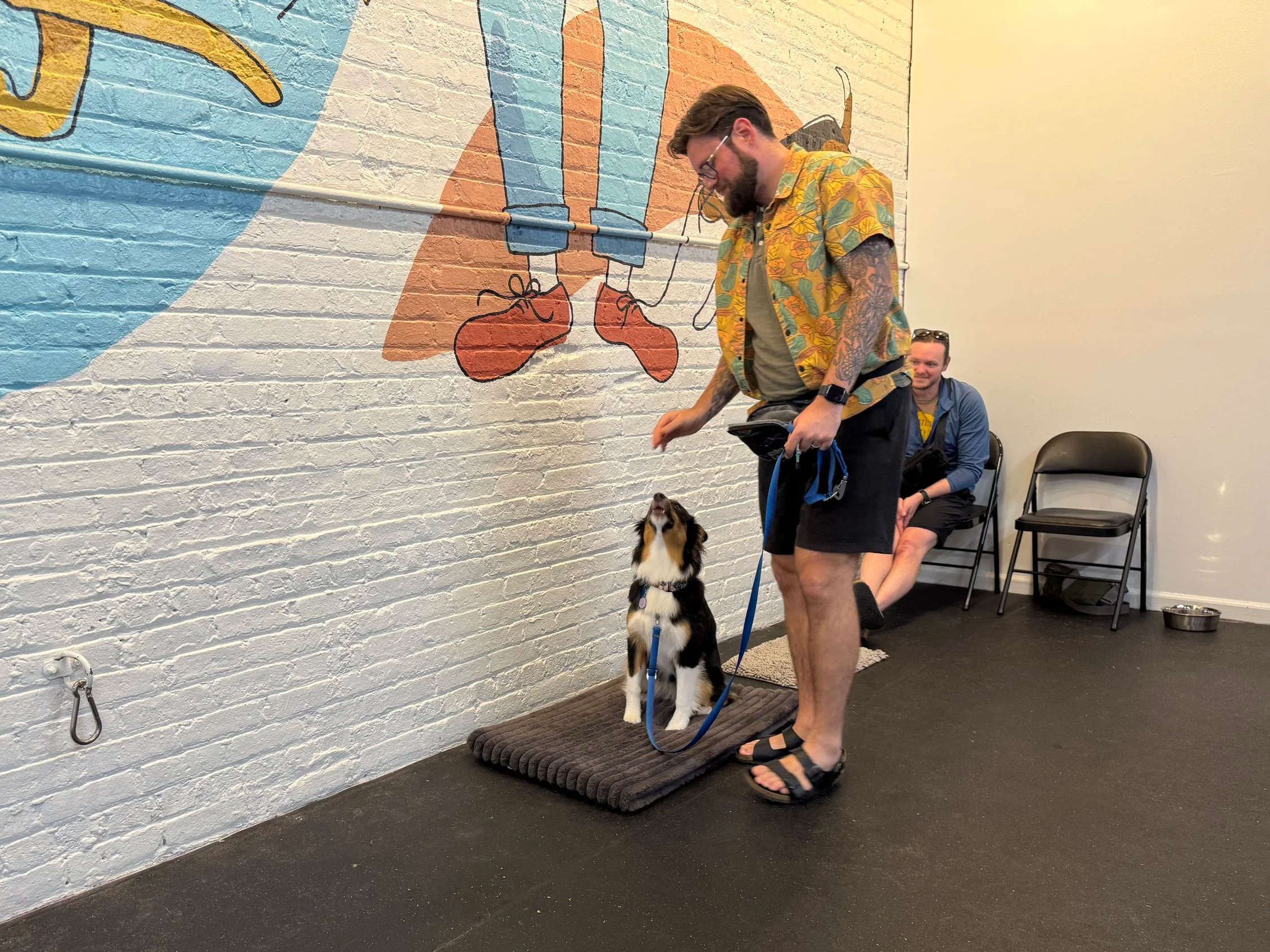 A teenage dog practicing the 'place' command on a training cot with its owner in a Puppy 2 Teen Edition class.