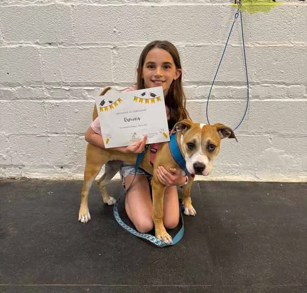 Child holding a certificate next to a puppy after completing a Chicago puppy training class.