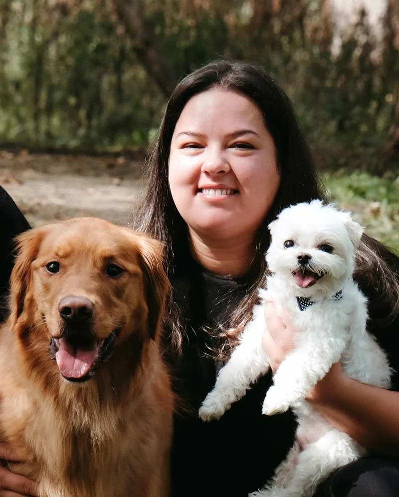 Golden retriever dog trainer