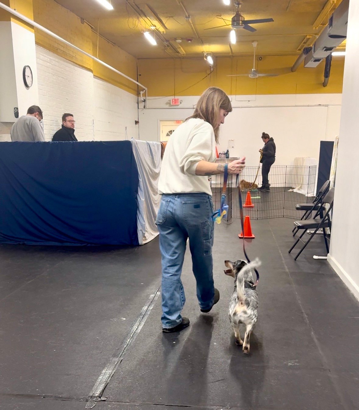 Trainer working with a leash-reactive dog during a structured group training class in Chicago.