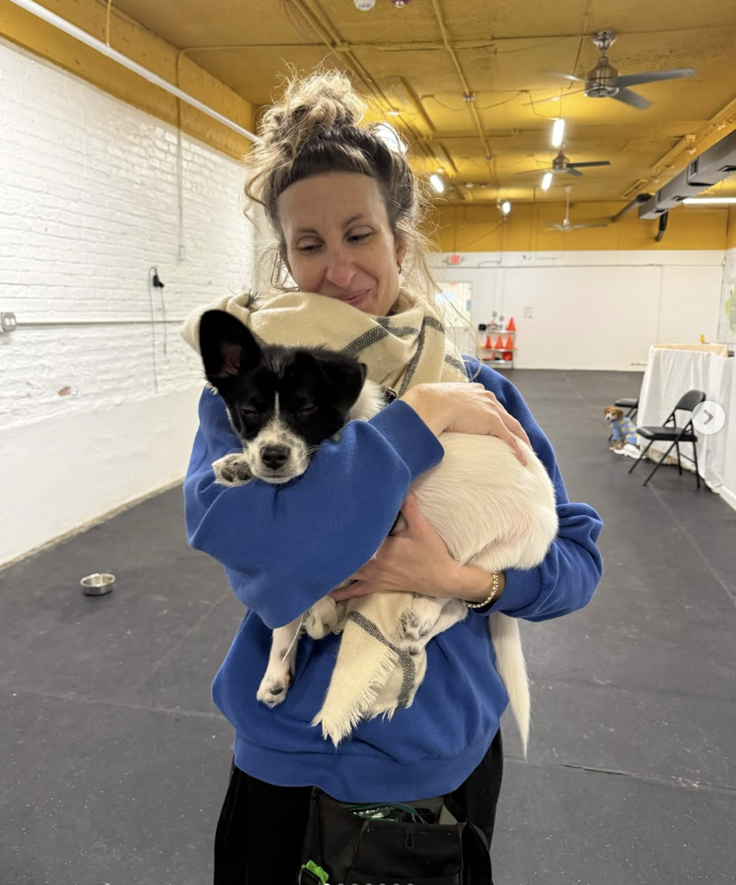 Ainsley dog trainer in Chicago