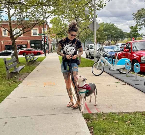 Dog practicing leash walking and reactivity training on a sidewalk in Chicago.