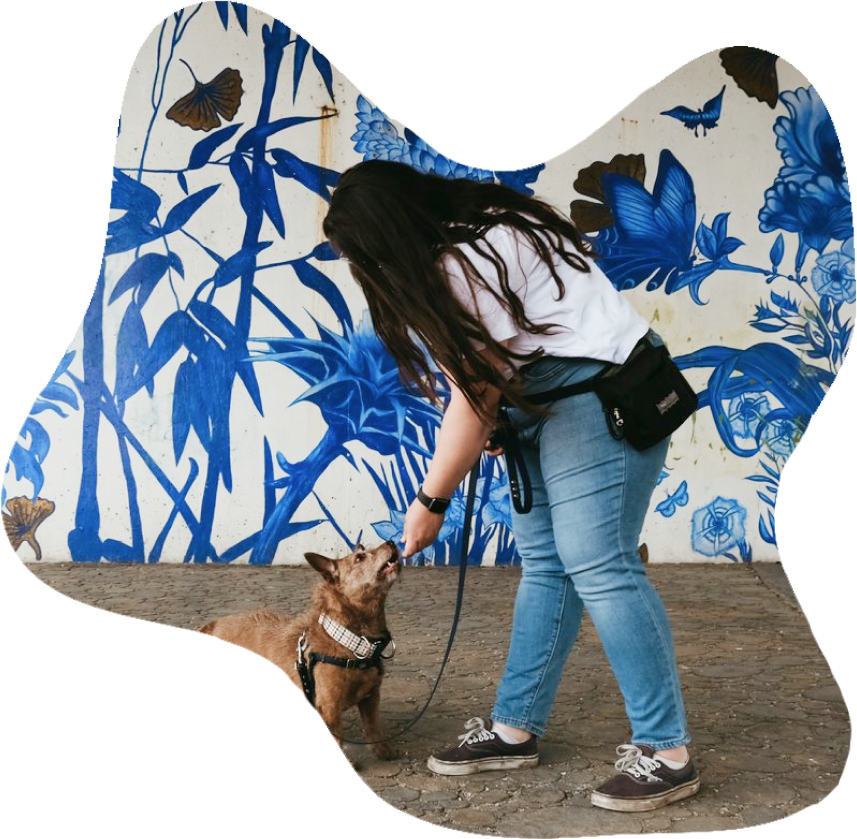 Private dog training session for leash reactivity on a Chicago sidewalk