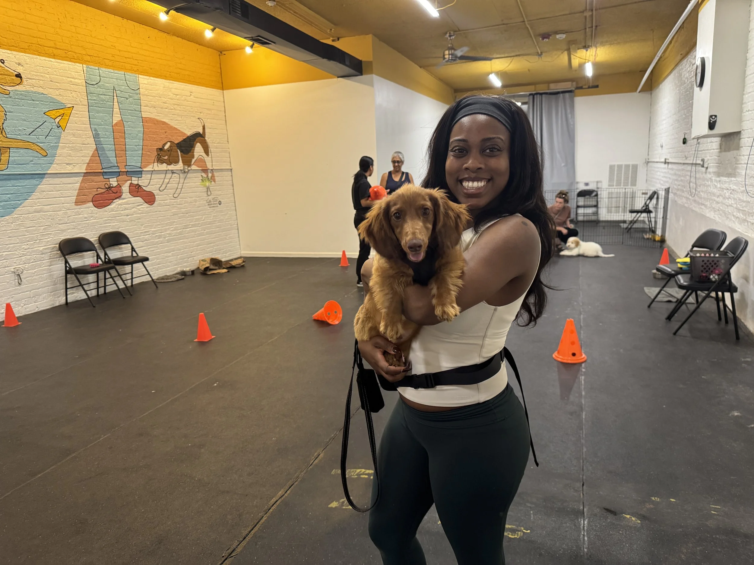 A smiling woman holding a dachshund puppy in a positive reinforcement dog training facility in Chicago.