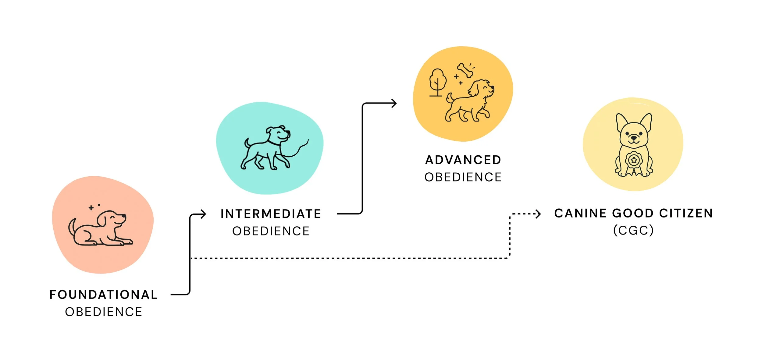 Graphic of the obedience group class step up flow