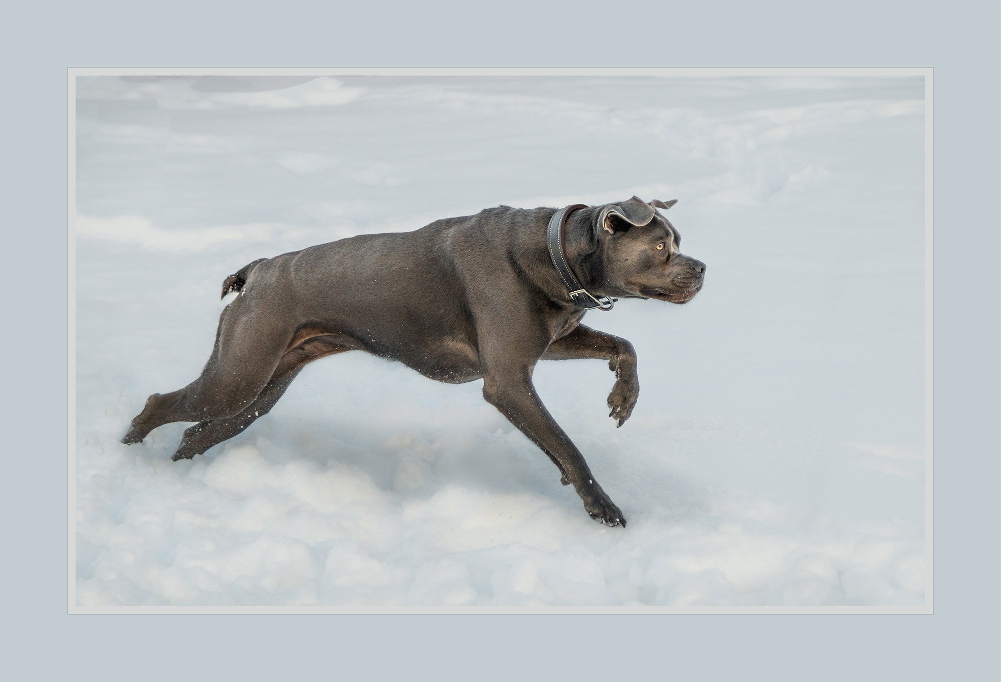IMG_9054-Edit-Edit.jpg
