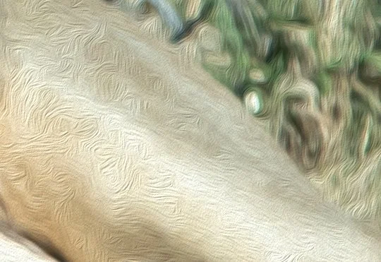 close-up-of-oil-painting-filter.jpg