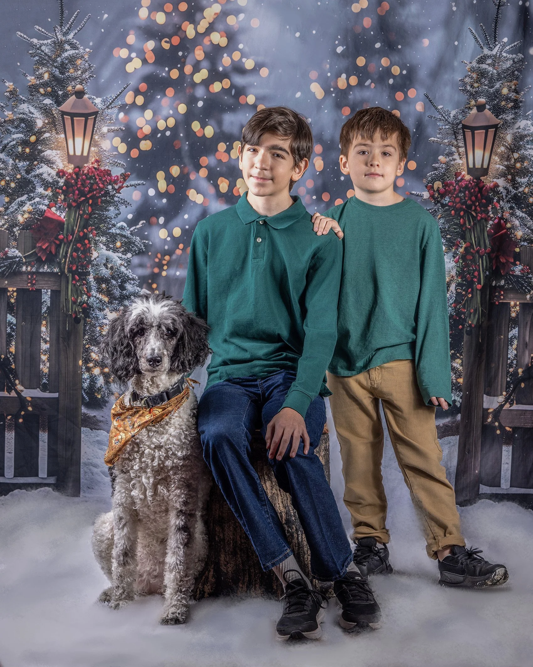 Returning to What I Love: Picking Up the Camera Again