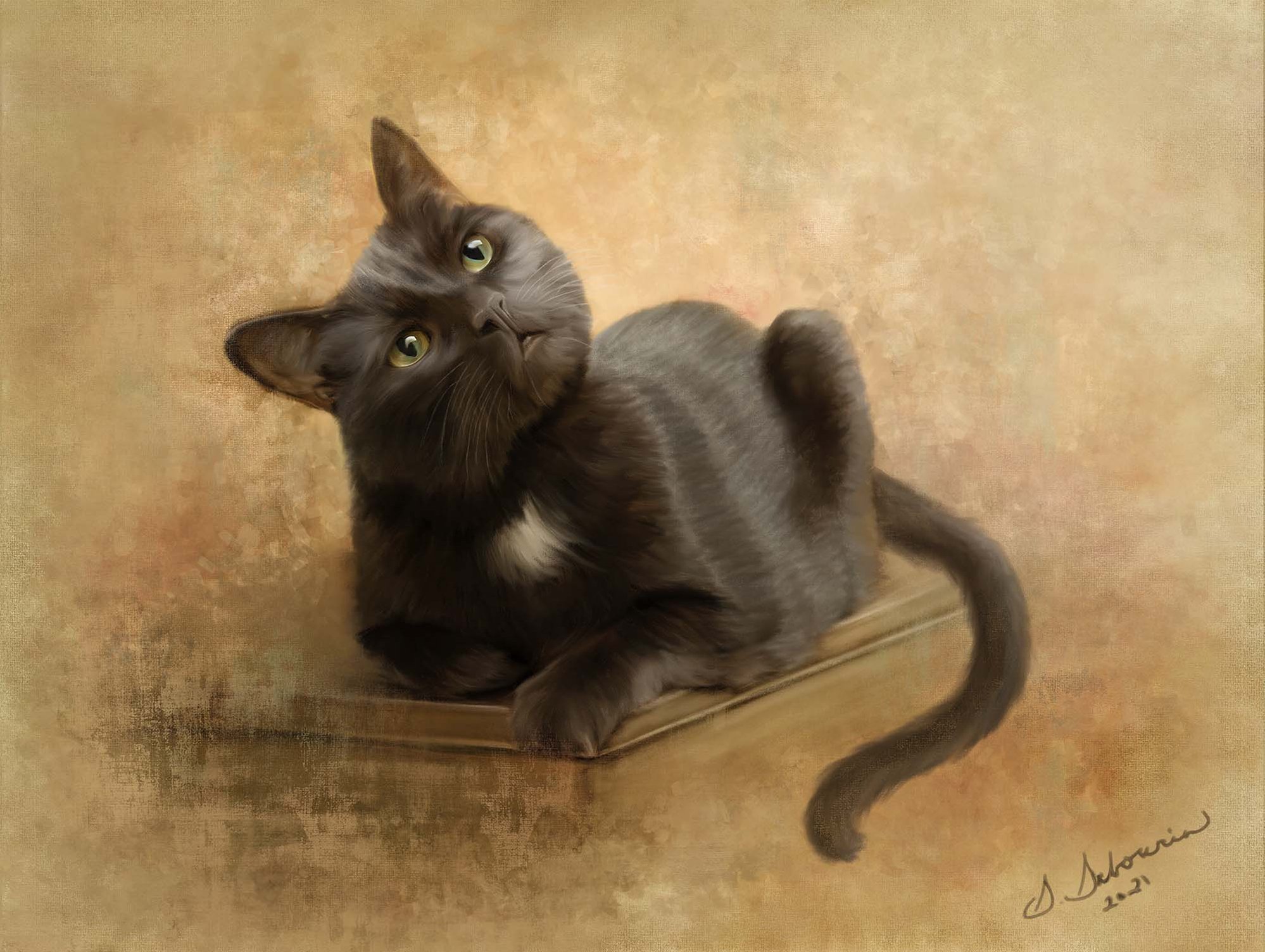magazinemyblackcat.jpg
