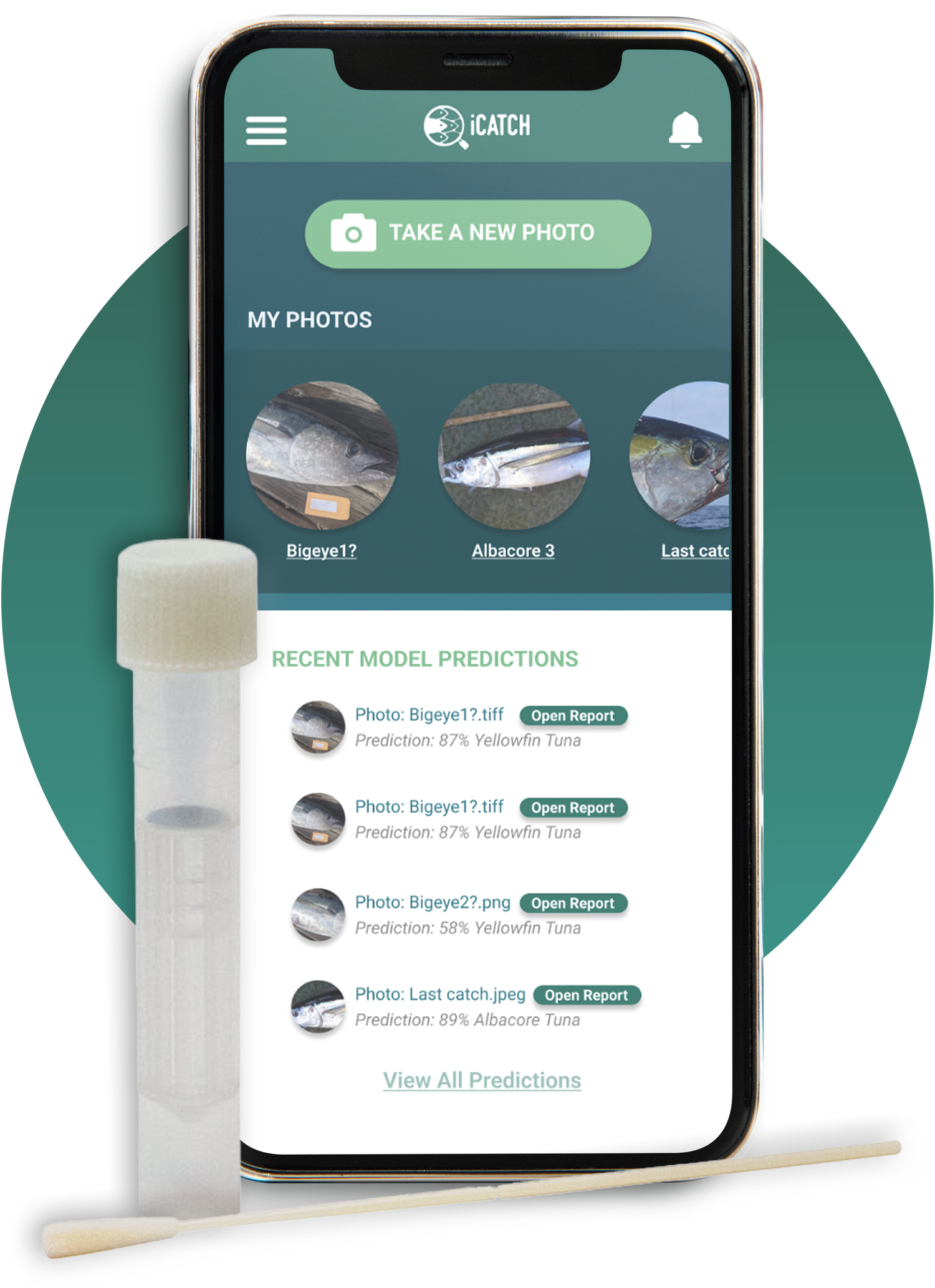 iCatch | AI Fish Species Identification App | Prevent Seafood Fraud