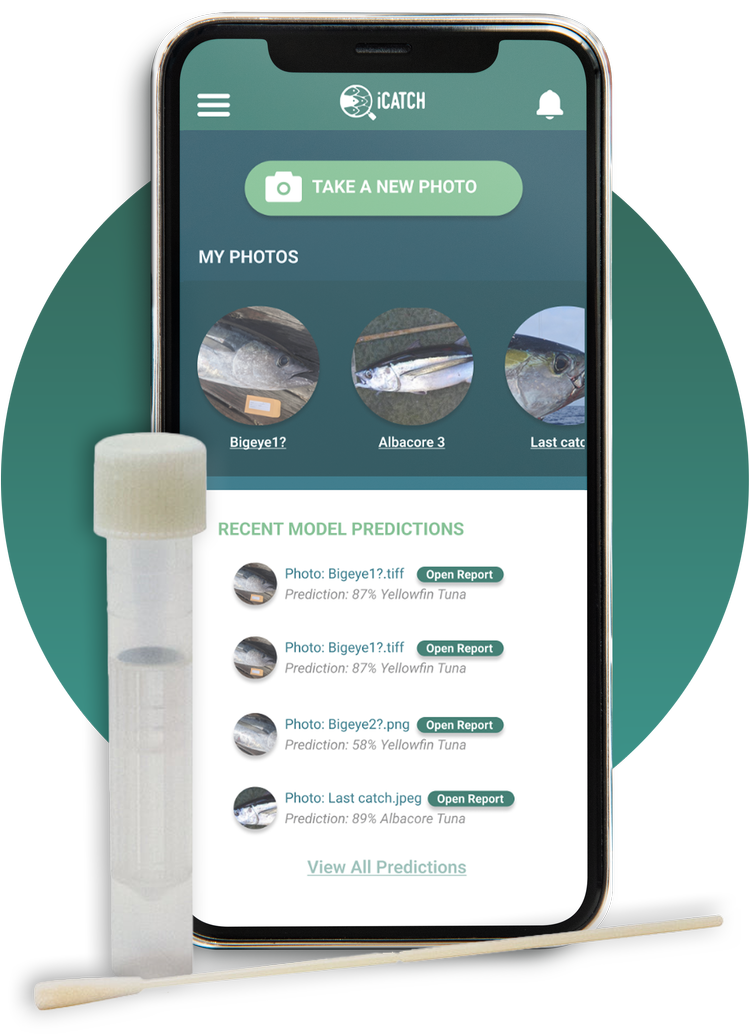 iCatch | AI Fish Species Identification App | Prevent Seafood Fraud