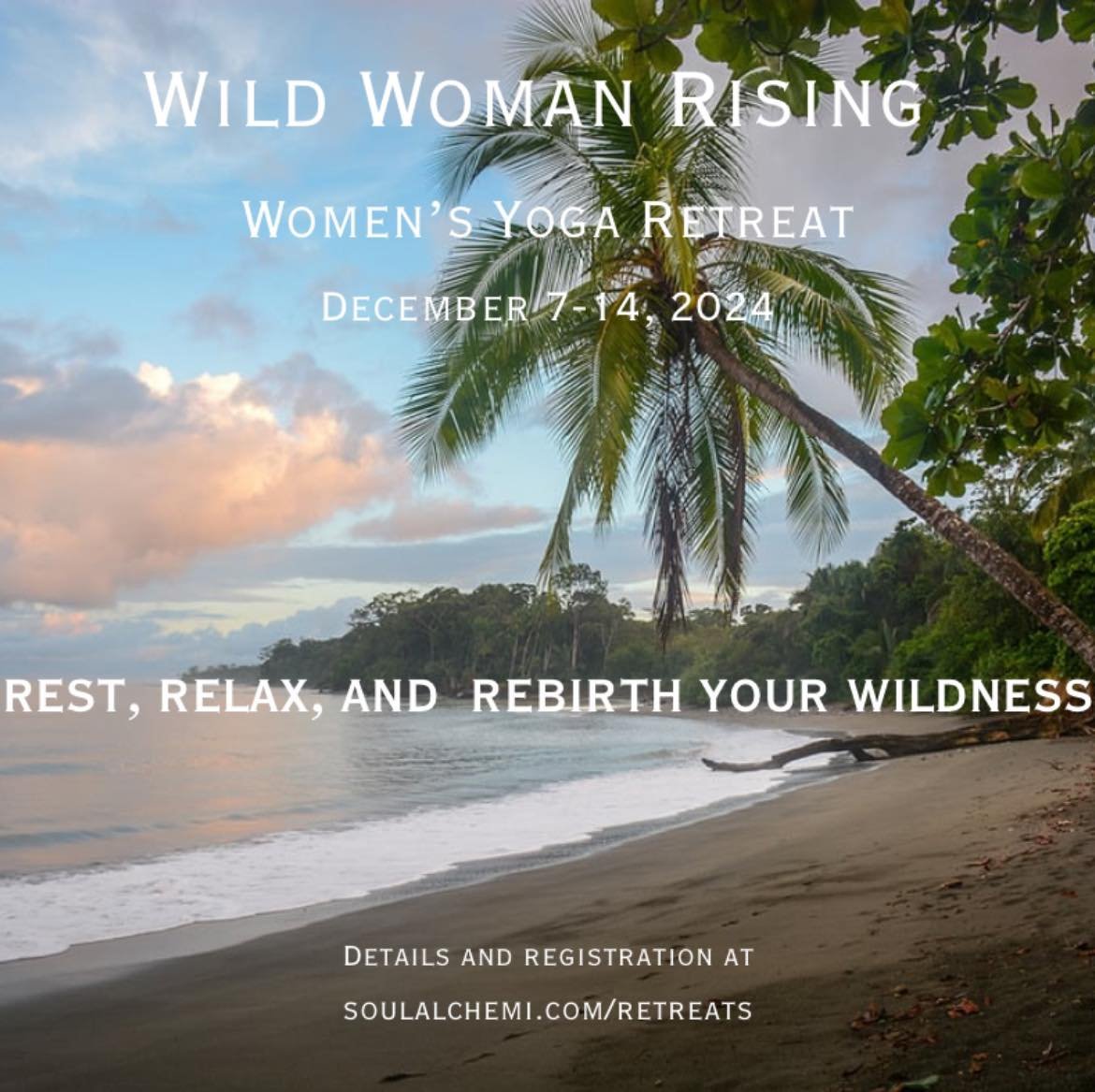 The purpose of retreating is to take some time away from one&rsquo;s ordinary reality and step into a time and space where stillness can greet your mind, body, and soul.

On this women&rsquo;s only retreat we will move from the exterior to the interi