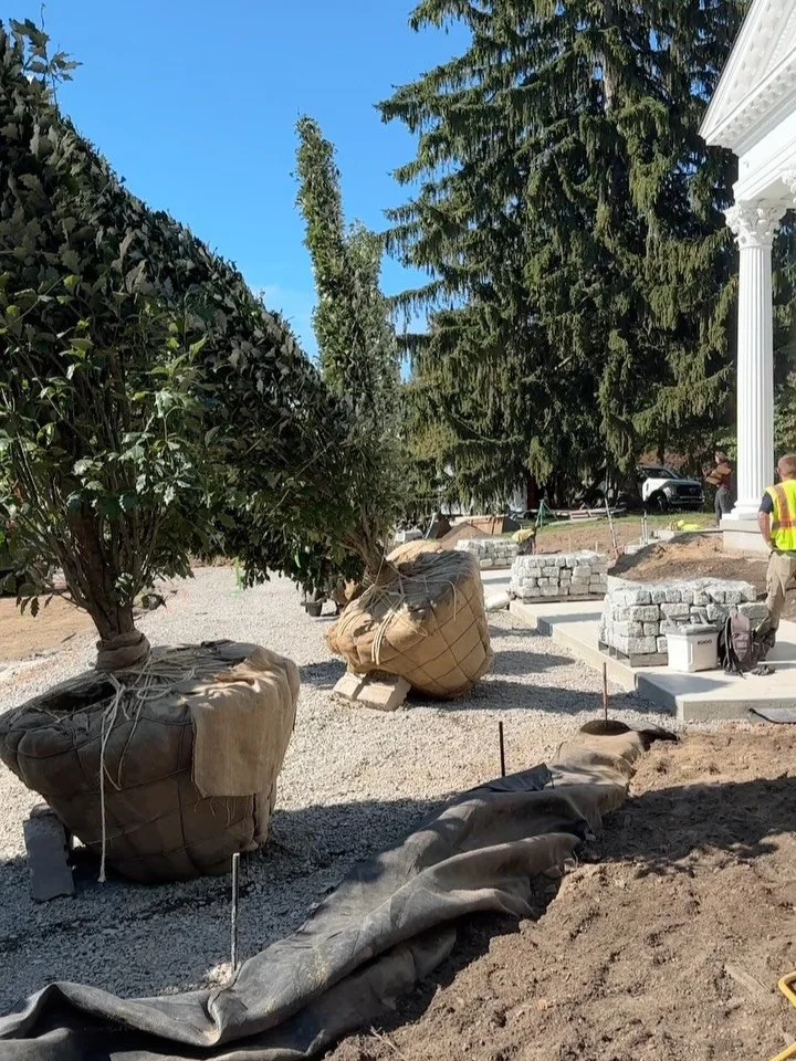 These eight large columnar oak trees are staged to be inspected and assigned planting locations. They are set to be a majestic part of the ongoing transformation at this private residence.
 
A lot goes on behind the scenes to make this type of statem