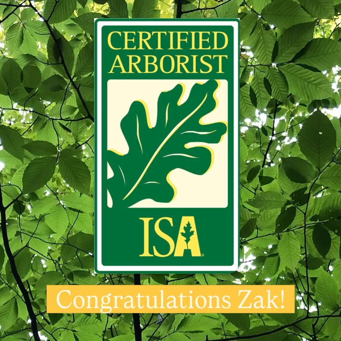 📣 Happy to announce and congratulate Zakery Steele, ISA Certified Arborist. Grateful to the hard work and dedication to advancing the technical expertise we offer our clients. ✨
-
How this strengthens our work? We have a more critical eye and techni