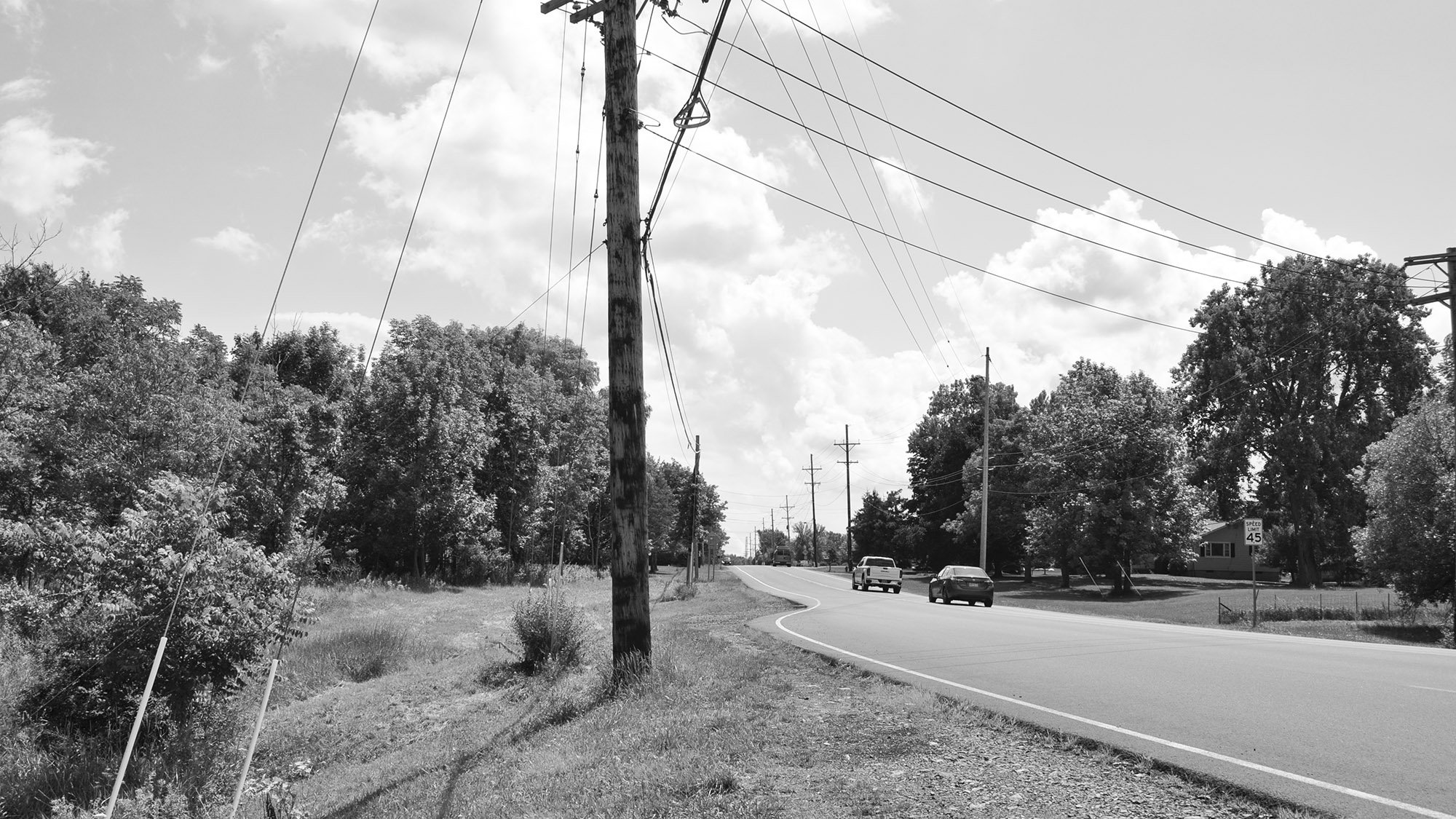 cheshire_image2.jpg