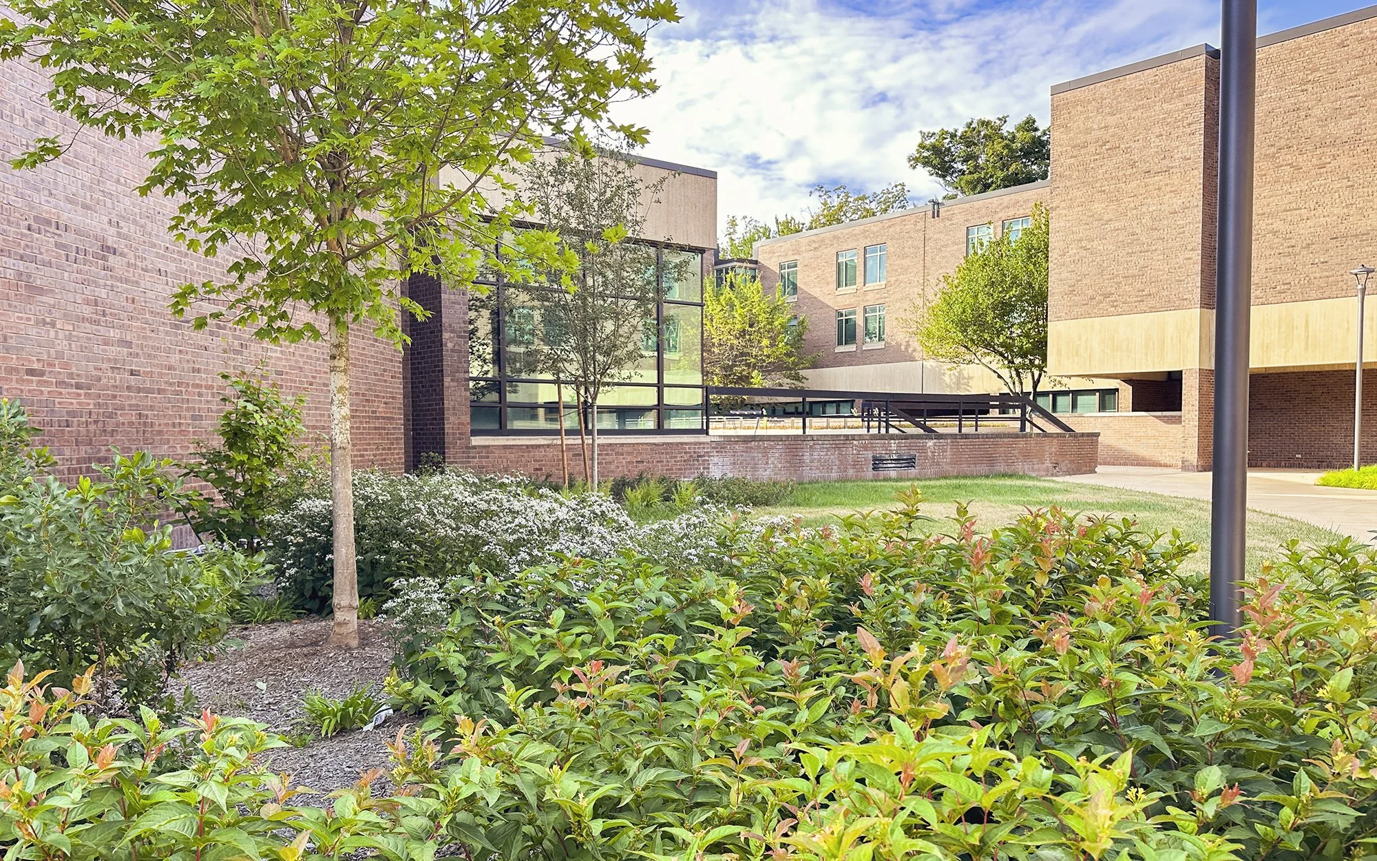 Kirkland_3888.jpg
