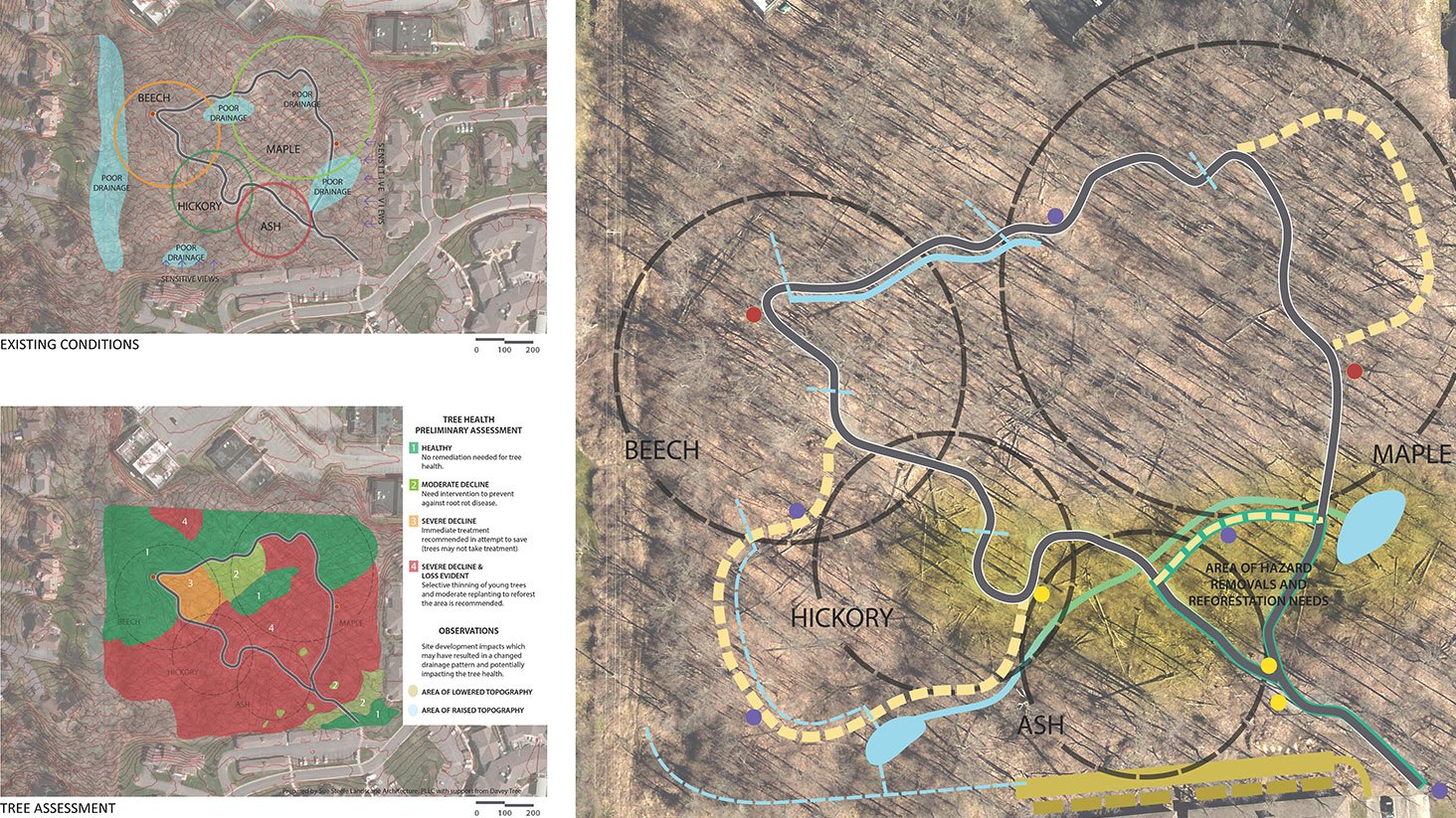 cloverwood forest_image5.jpg