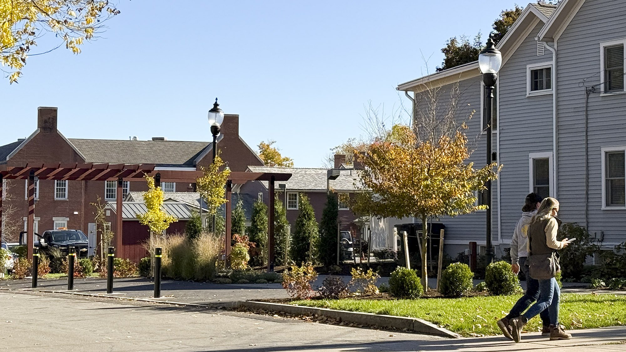 copper beech_image11.jpg