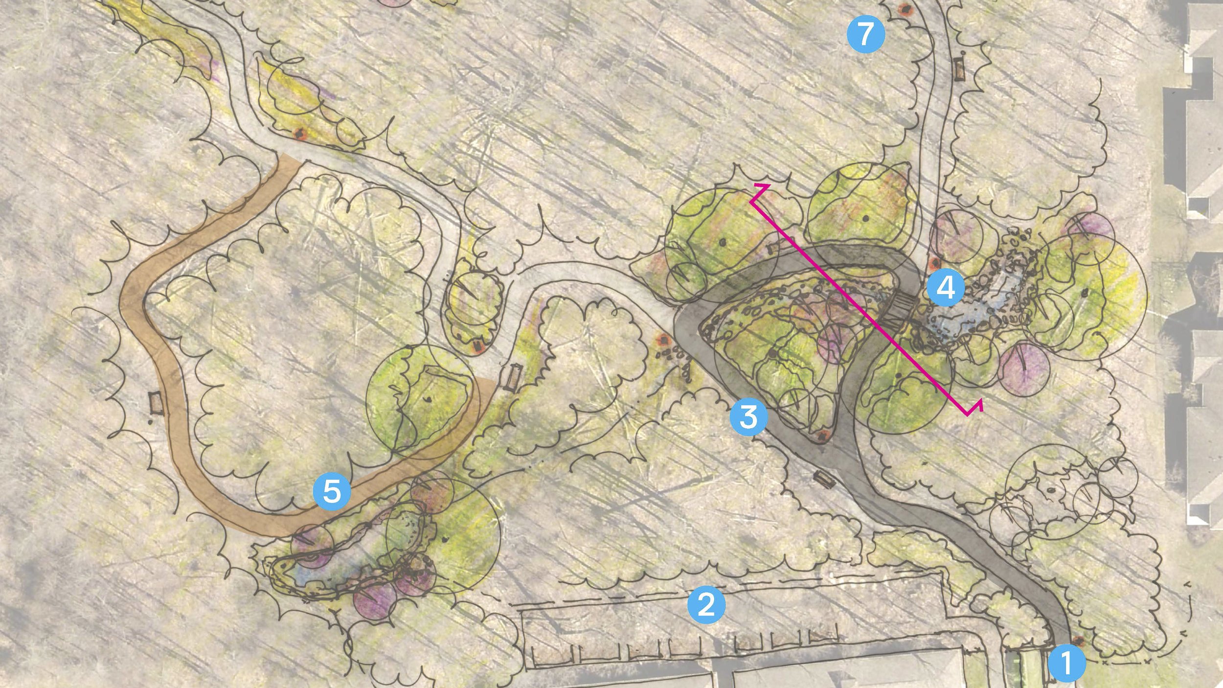 cloverwood forest_image3.jpg