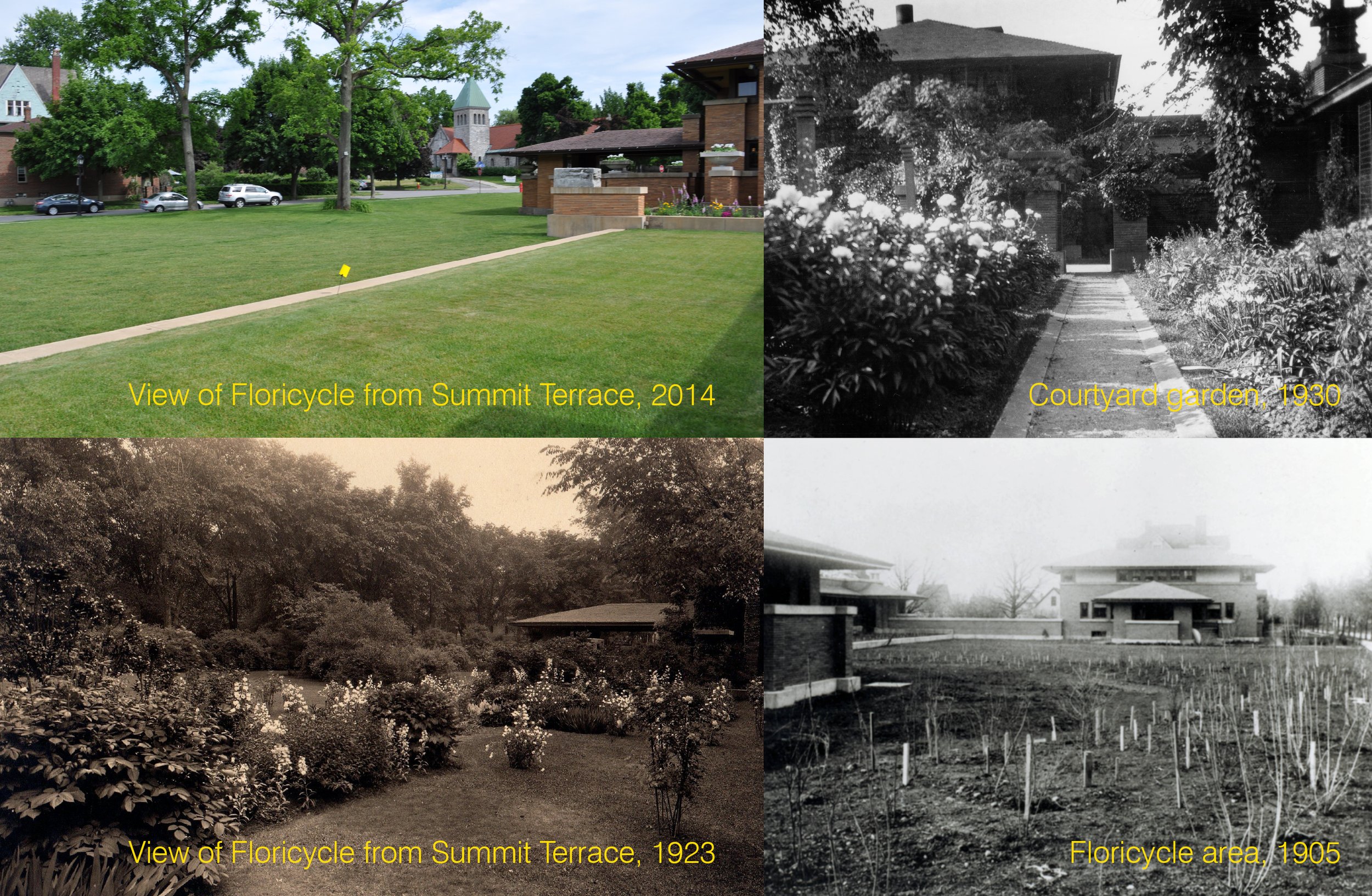 martin house 016.jpg