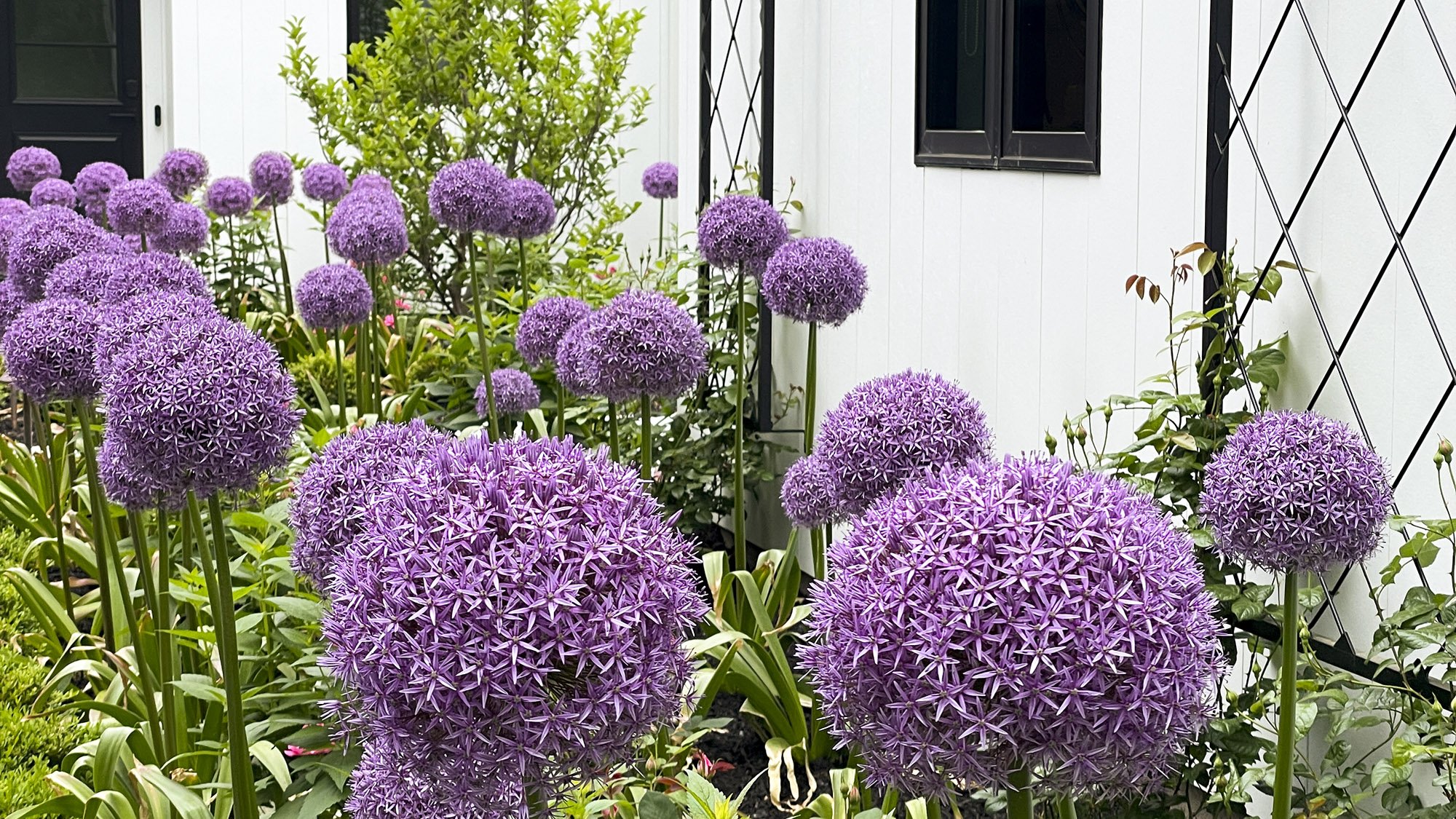 1024_image14.jpg