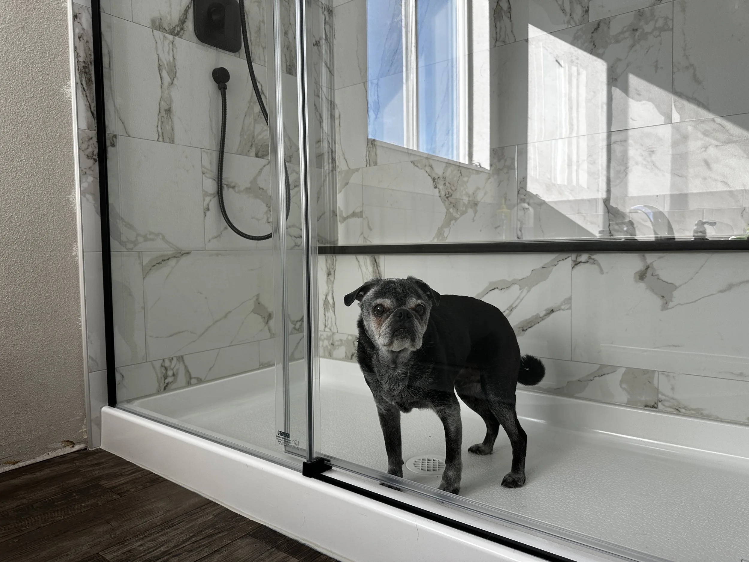 The Pug is our on site project manager