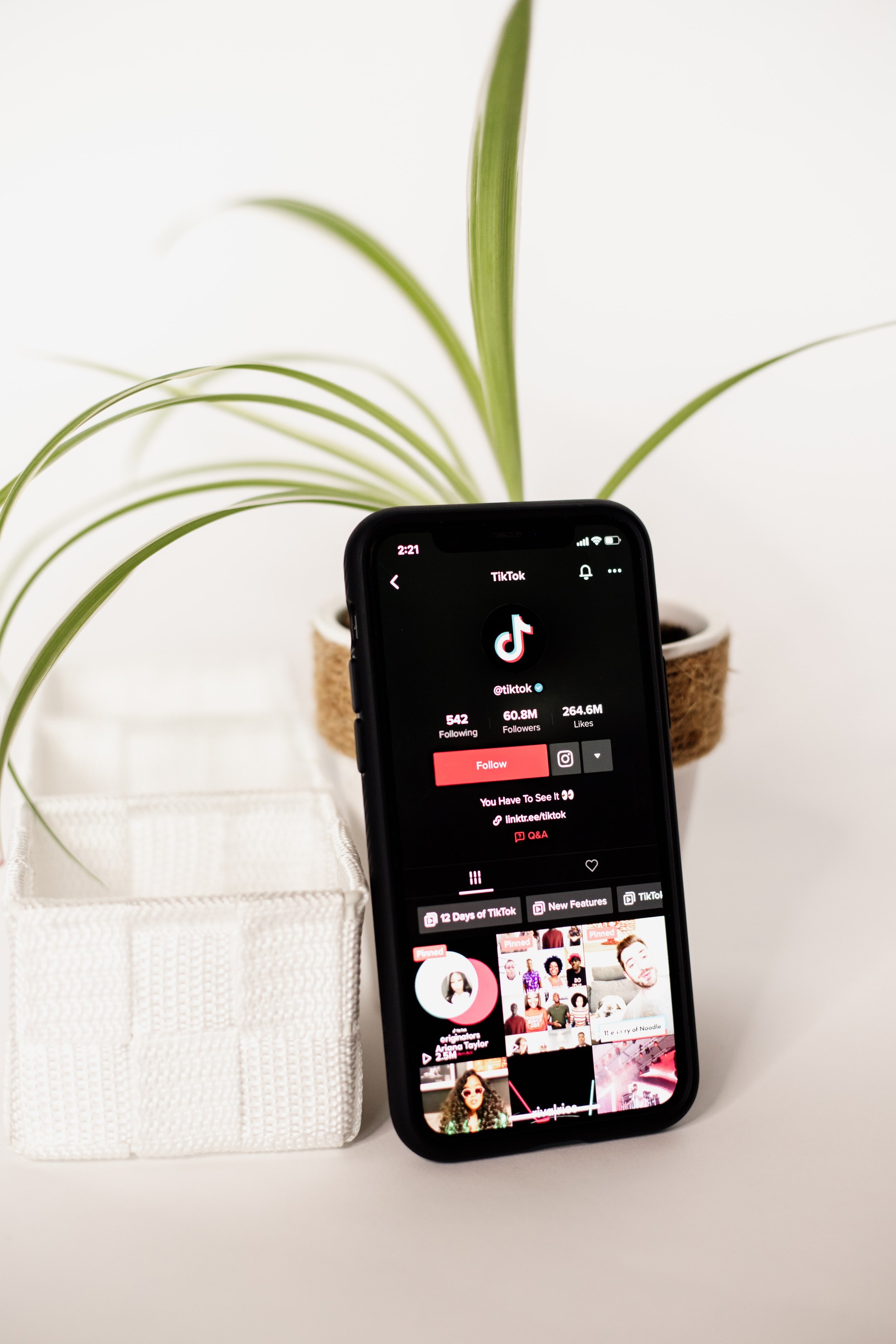Should My Business Be on TikTok?