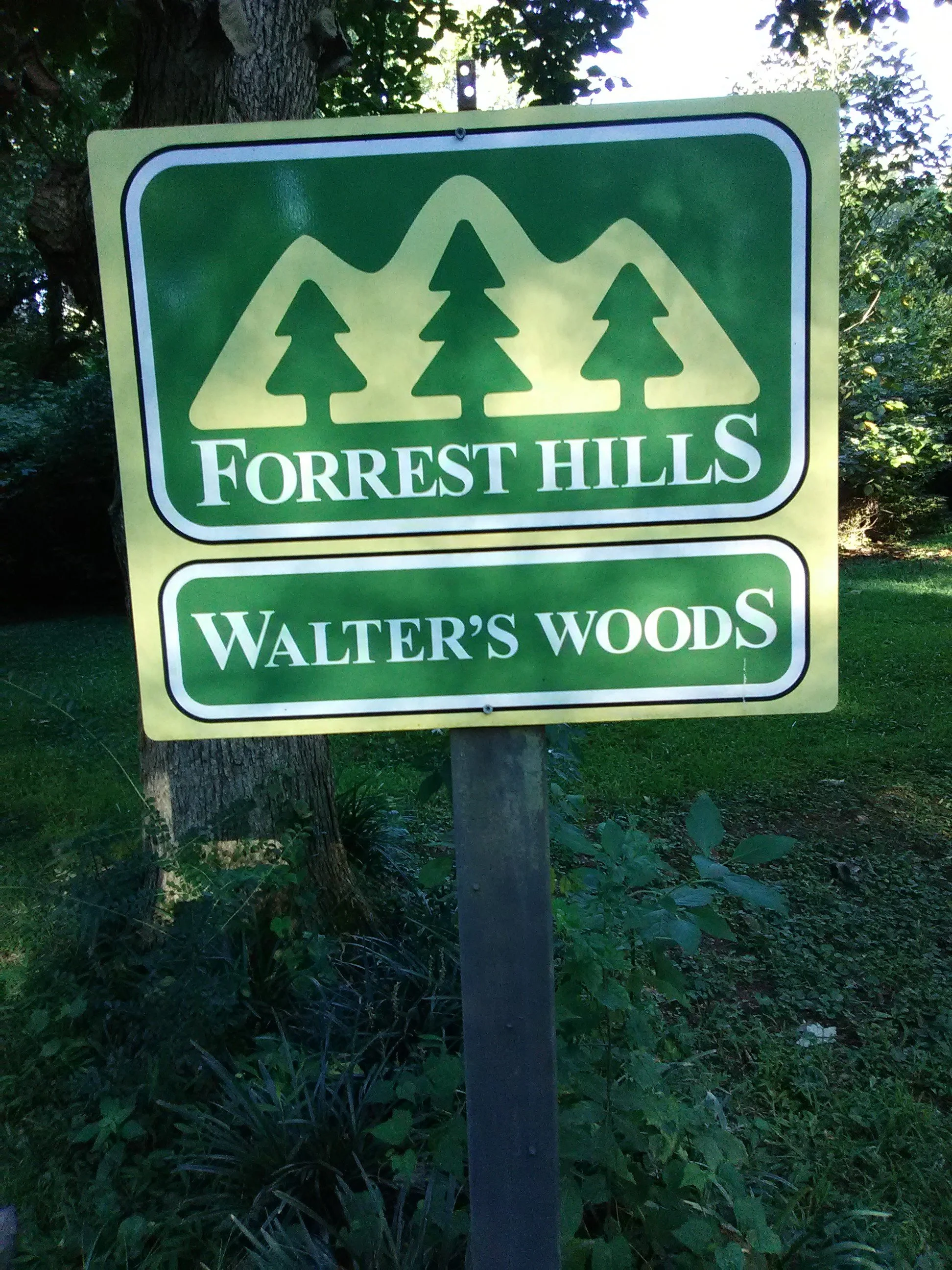 Walter’s Woods Workday
