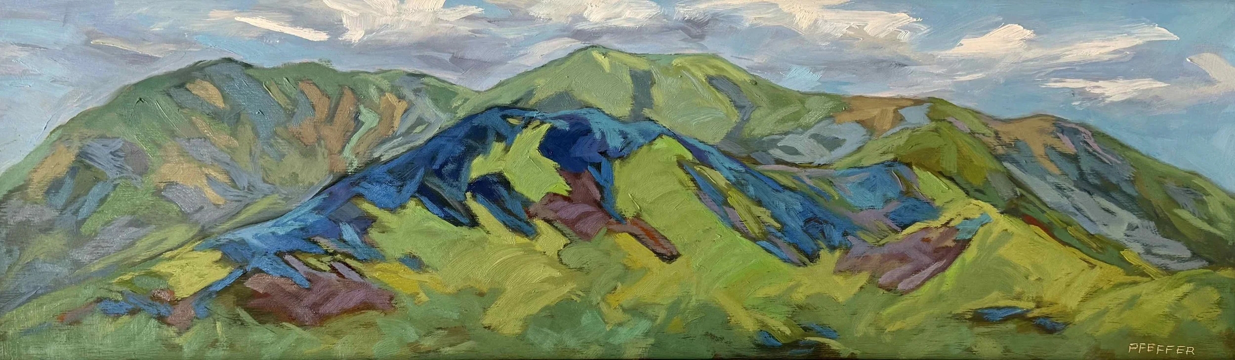 Diablo Spring  10x22 Oil on panel