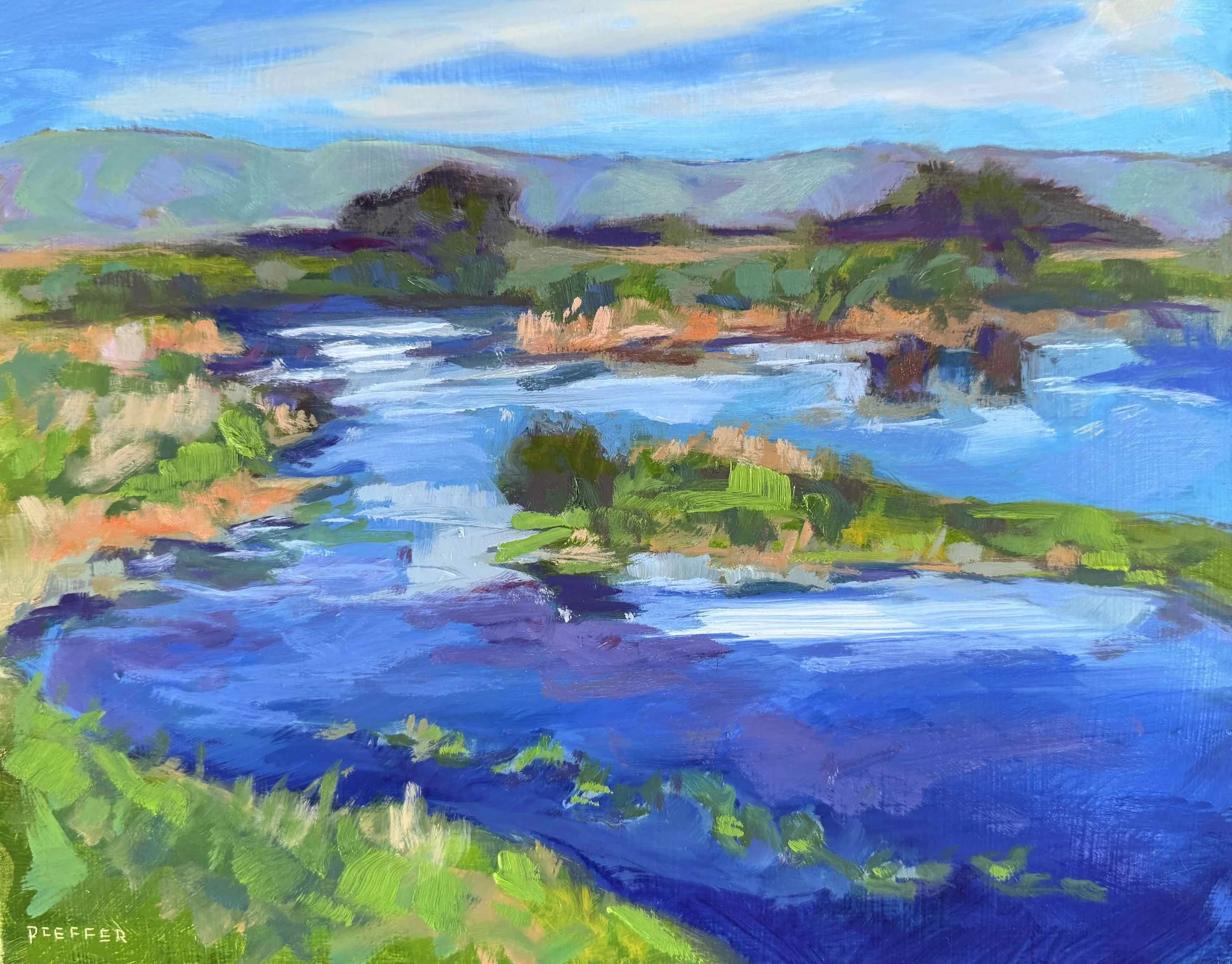 Shollenberger Wetlands 8x10 Oil on panel