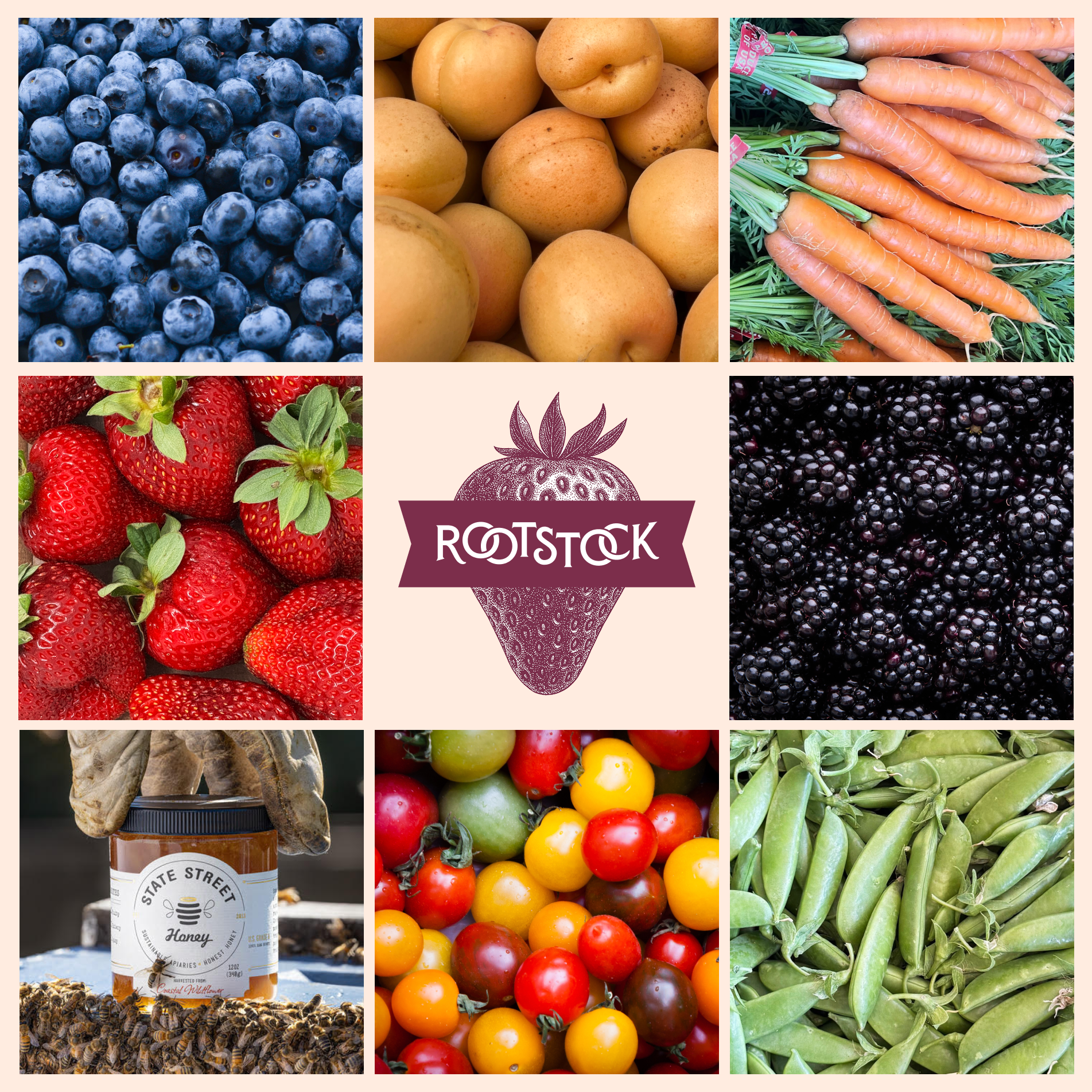 Rootstock apartment add grid.png