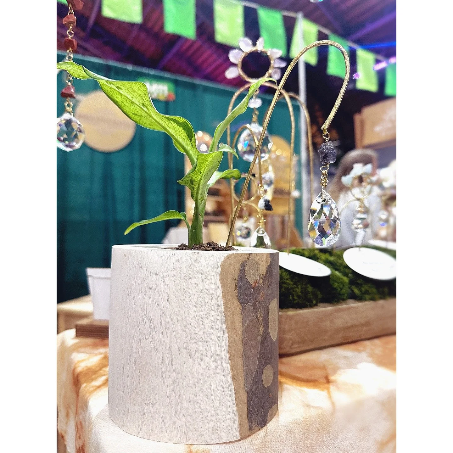 I added a @masonmade25 sustainable sycamore planter and new plant bb to my collection today and adorned him with one of my new plant suncatchers. It's the perfect addition to my @phsgardening Philadelphia Flower Show display!