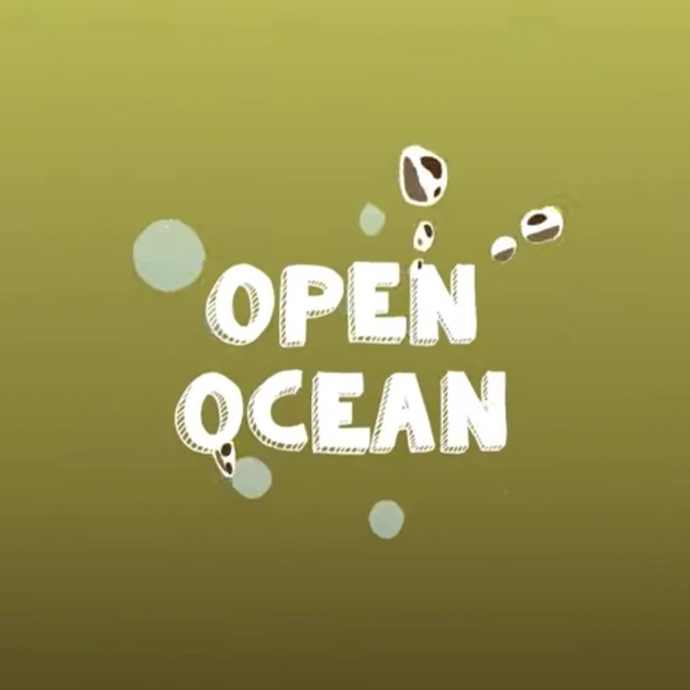 Tautai Open Ocean Online | Wrap-up