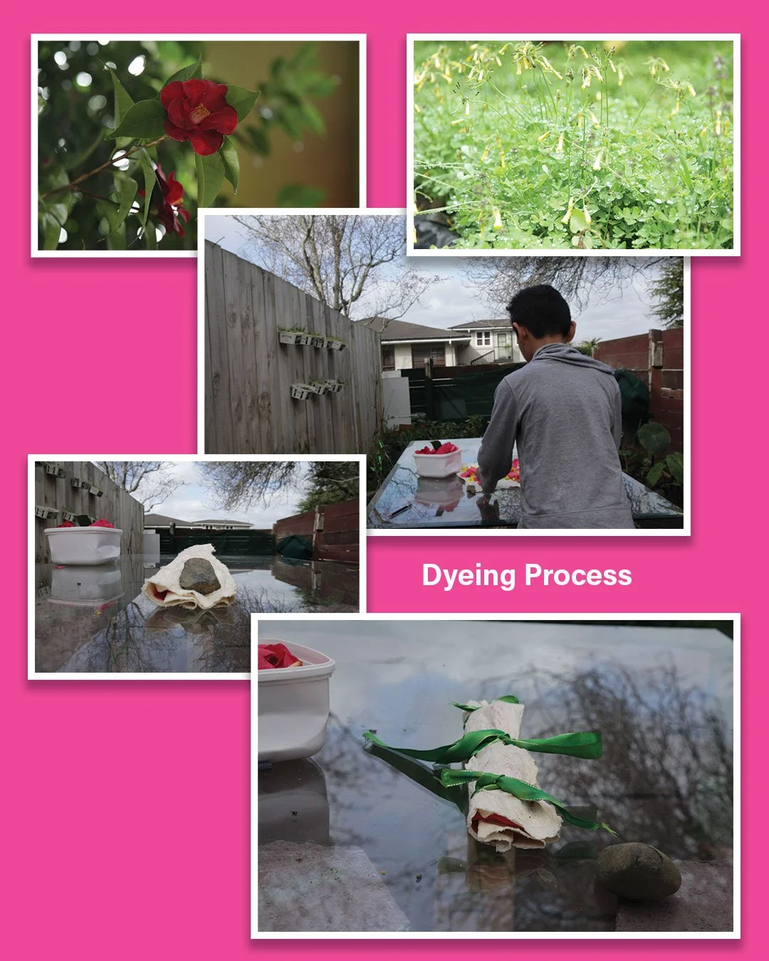 9.Jasmine_Dyeing-Process.jpg
