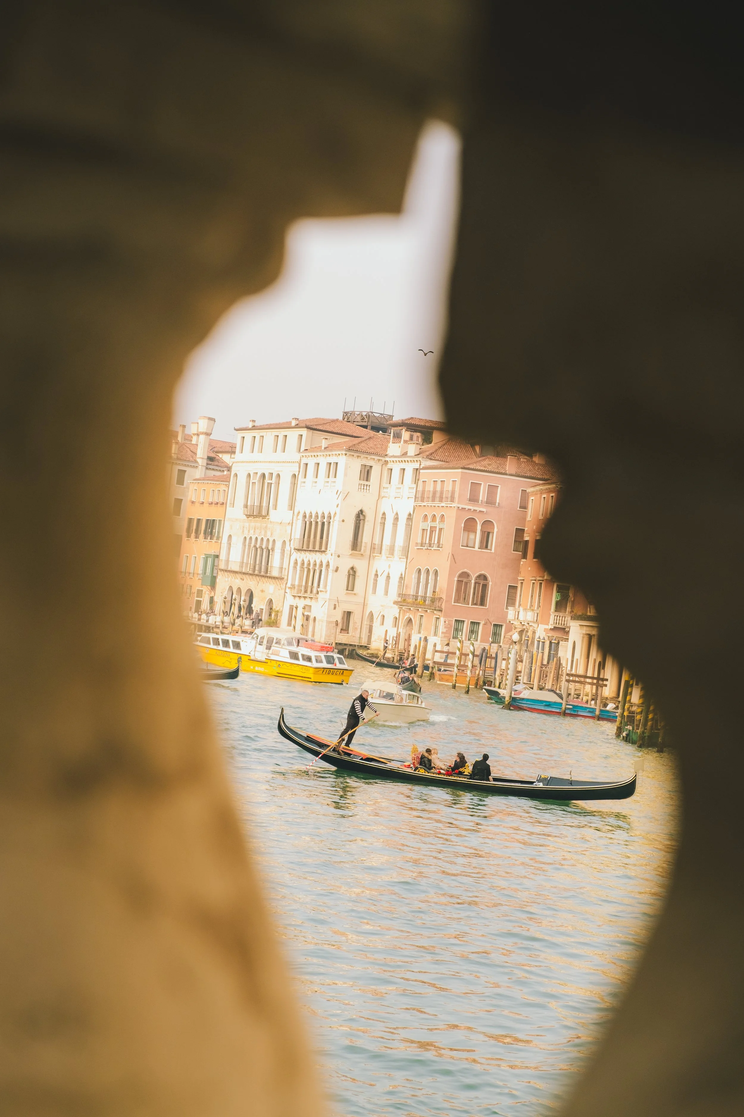 2025-Feb-Venice-HannahVanWagner -124.jpg