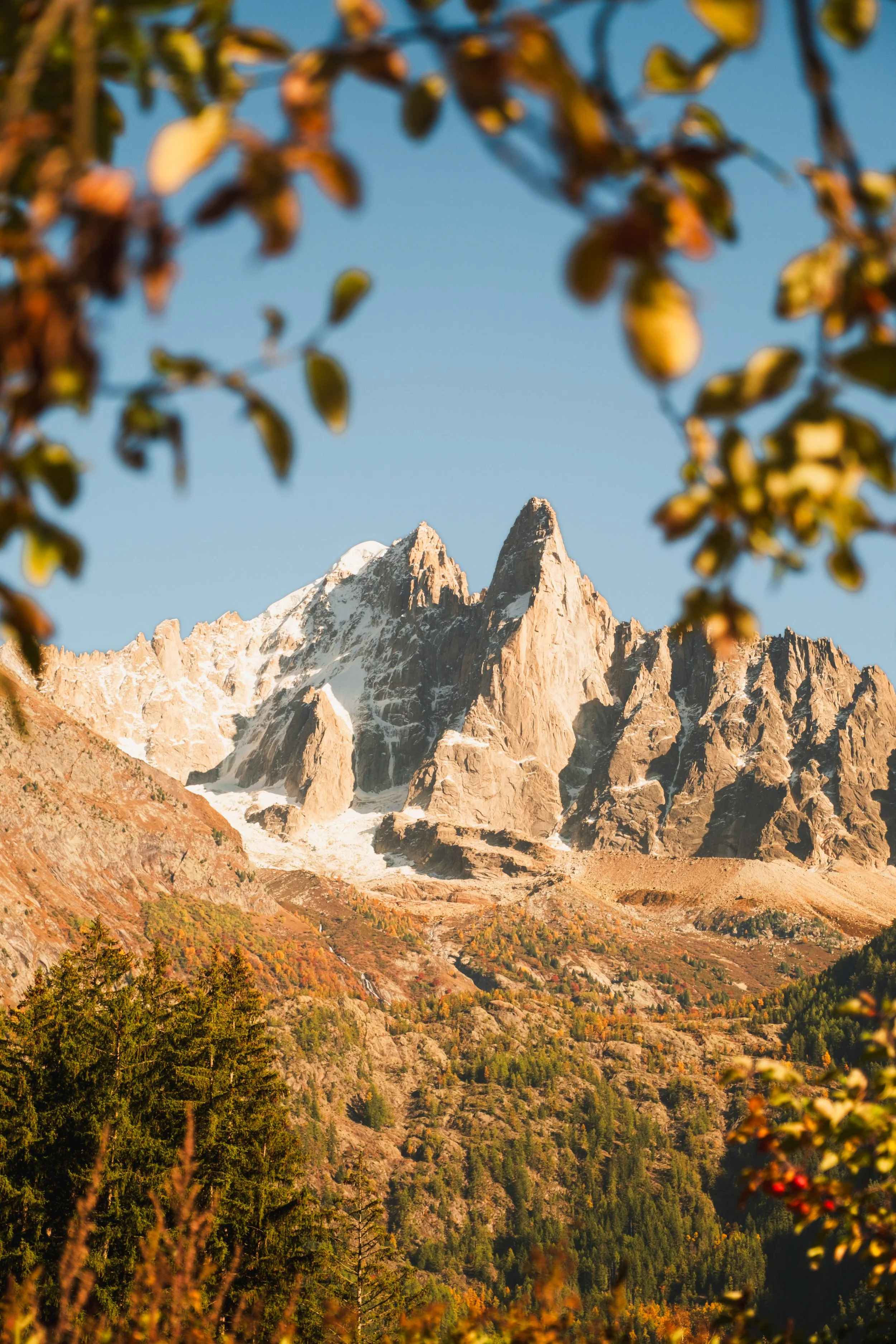 2025-Oct-Chamonix-HannahVanWagner-7.jpg