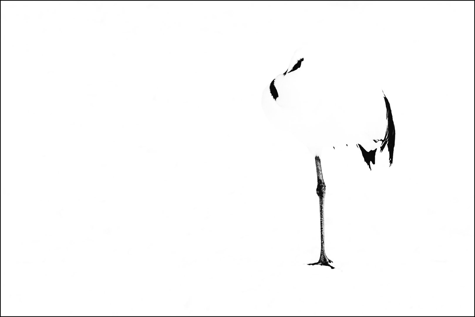 One Leg