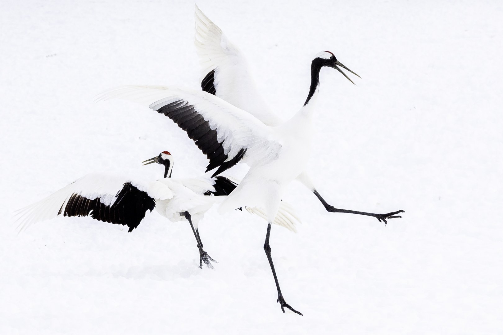 Dancing together