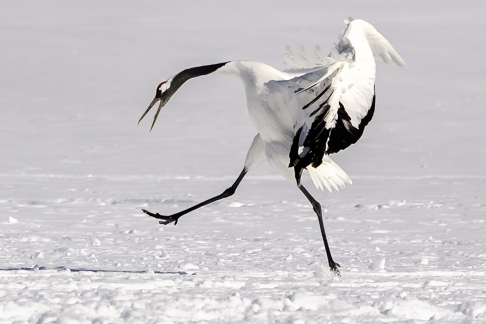 Awkard Landing