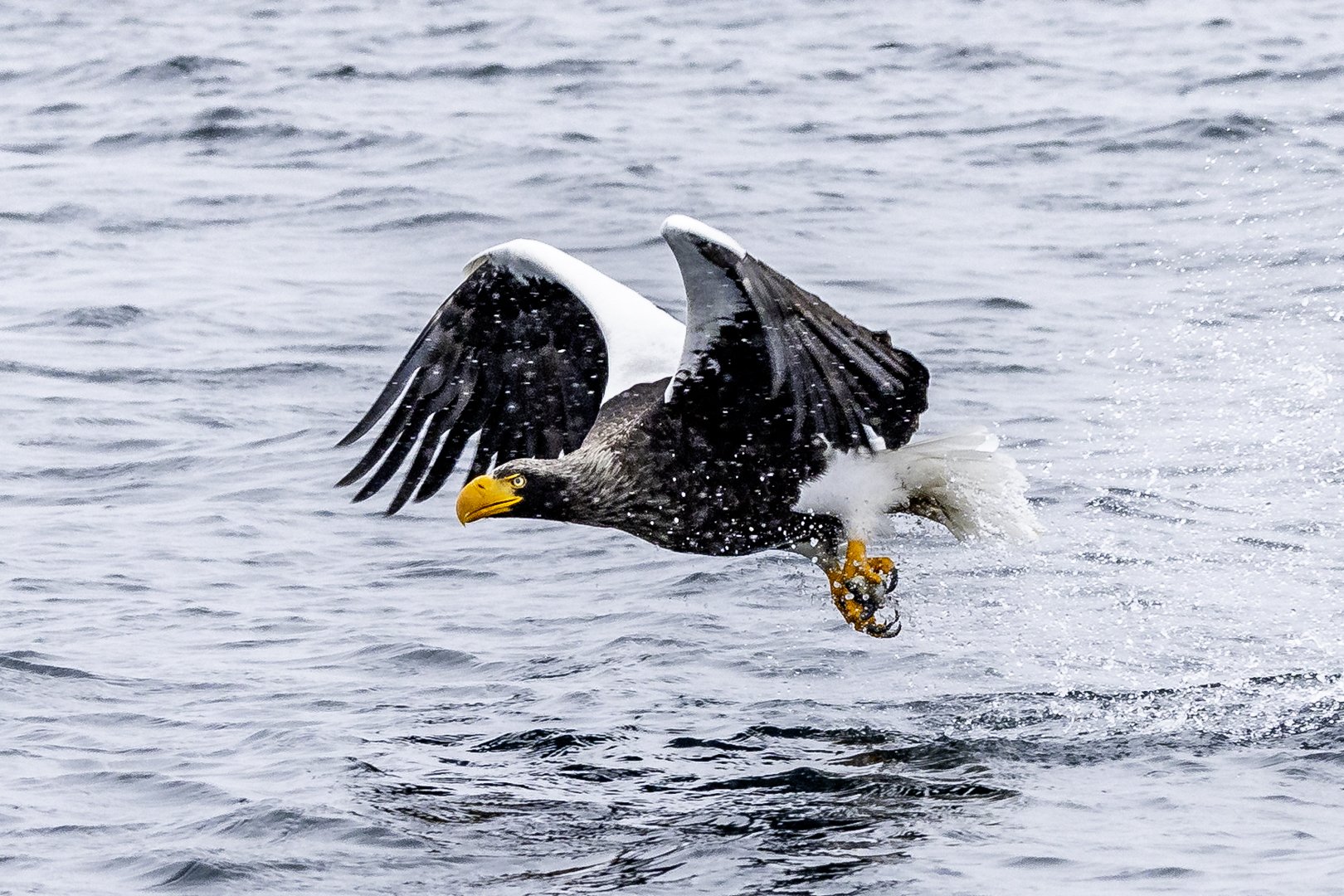 Firm hold on fish