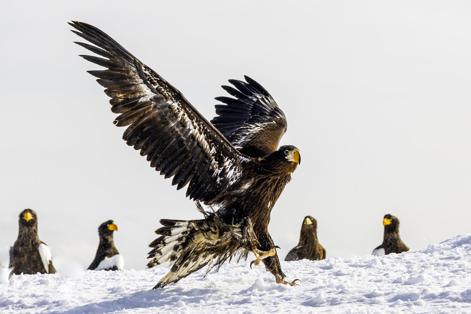 Good landing