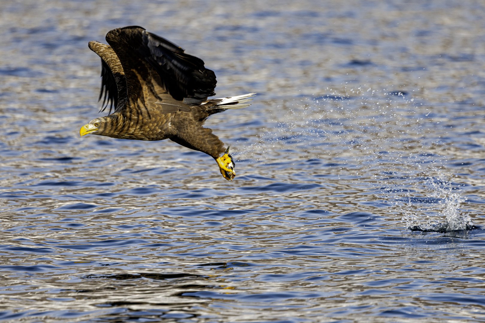Making a splash