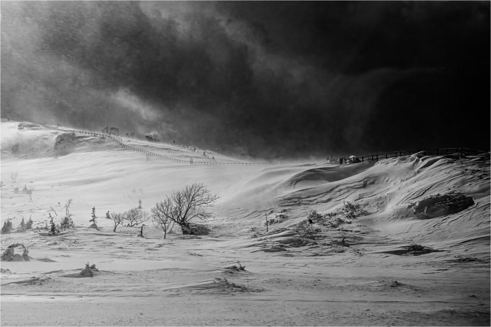 In a snow storm